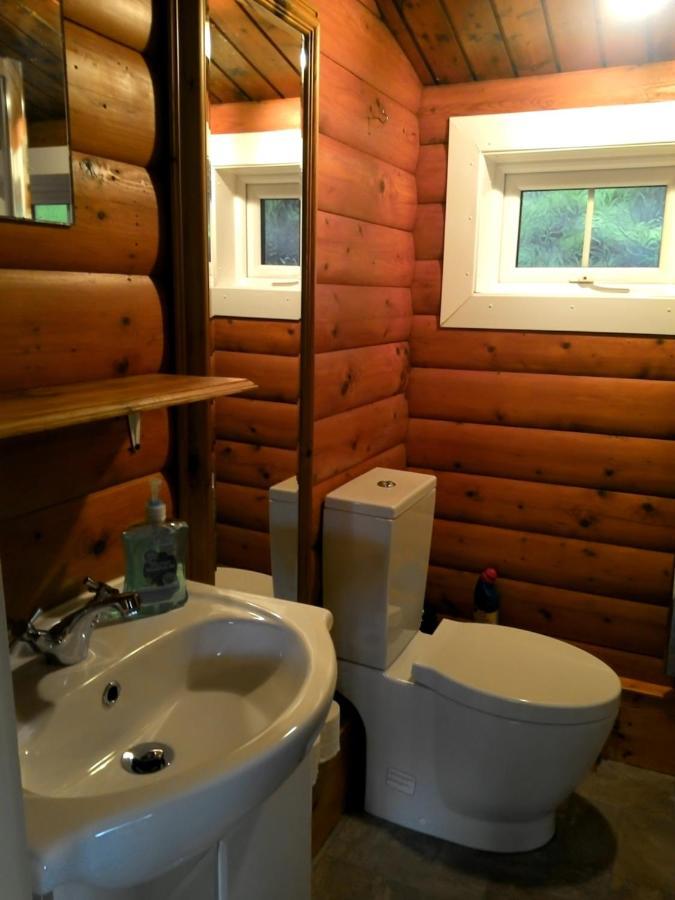 Willa Shifty Chicken Shack Trawsfynydd Zewnętrze zdjęcie